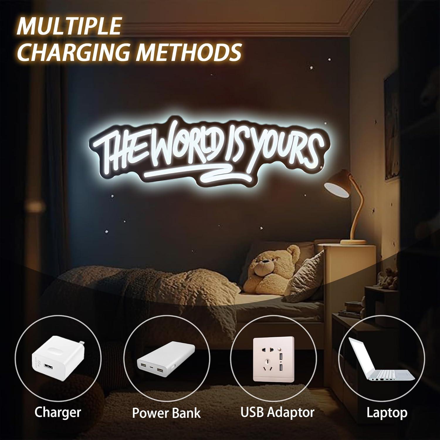 The World is Yours Neon Sign U - Lighting Decor For Wedding 리뷰 및 가격