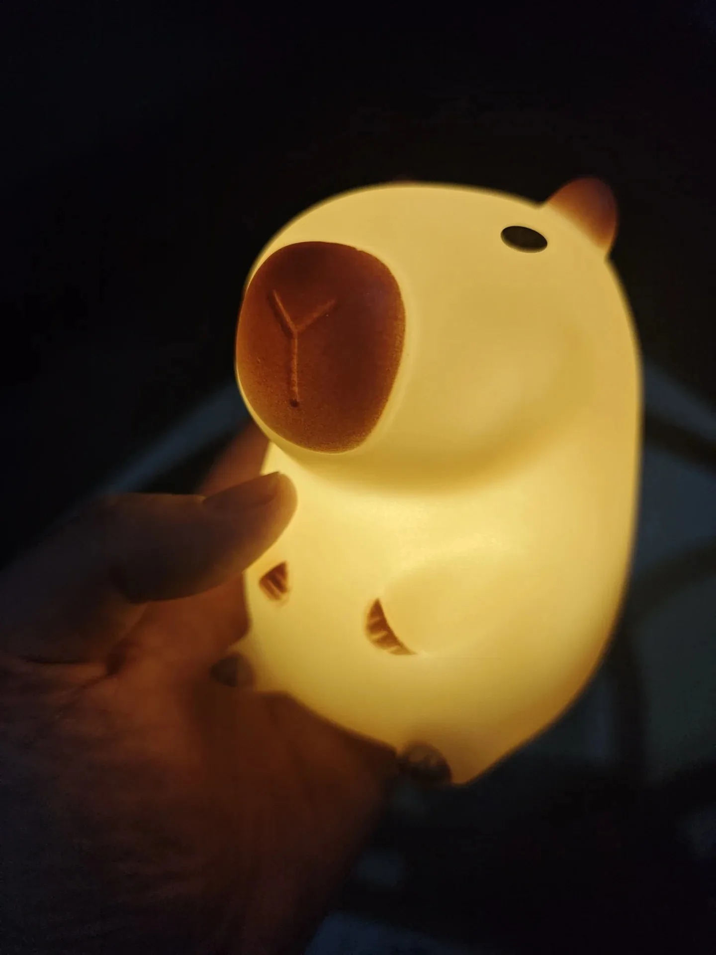 Cute Pet Capybara Night Light  - Decor Lighting Sales 리뷰 및 가격